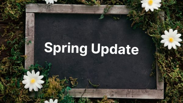 Spring updates to the Charities Act 2022
